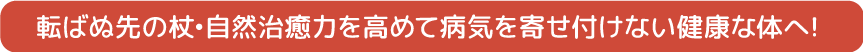 転ばぬ先の杖•自然治癒力を高めて病気を寄せ付けない健康な体へ！